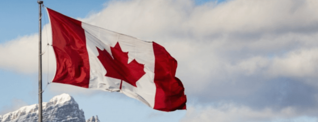 The Tour Manager&nbsp;Story